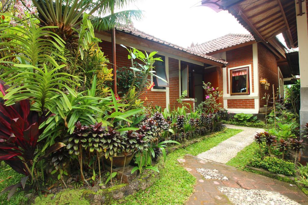 Made Homestay Munduk מראה חיצוני תמונה